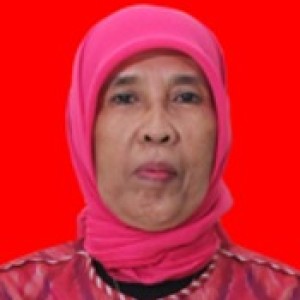 Dra. Patmawati Halim, M.Pd.